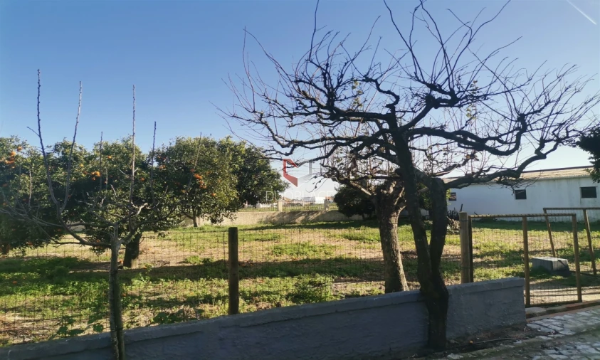 Moradia T6 para Venda em Atalaia e Alto Estanqueiro-Jardia Foto 47