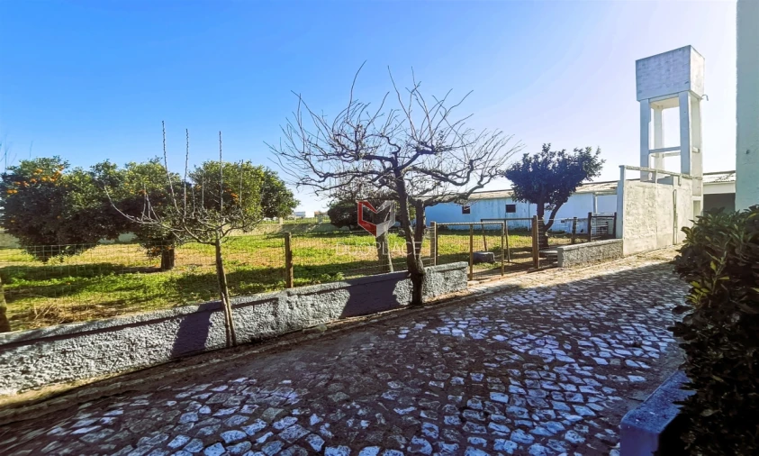 Moradia T6 para Venda em Atalaia e Alto Estanqueiro-Jardia Foto 16