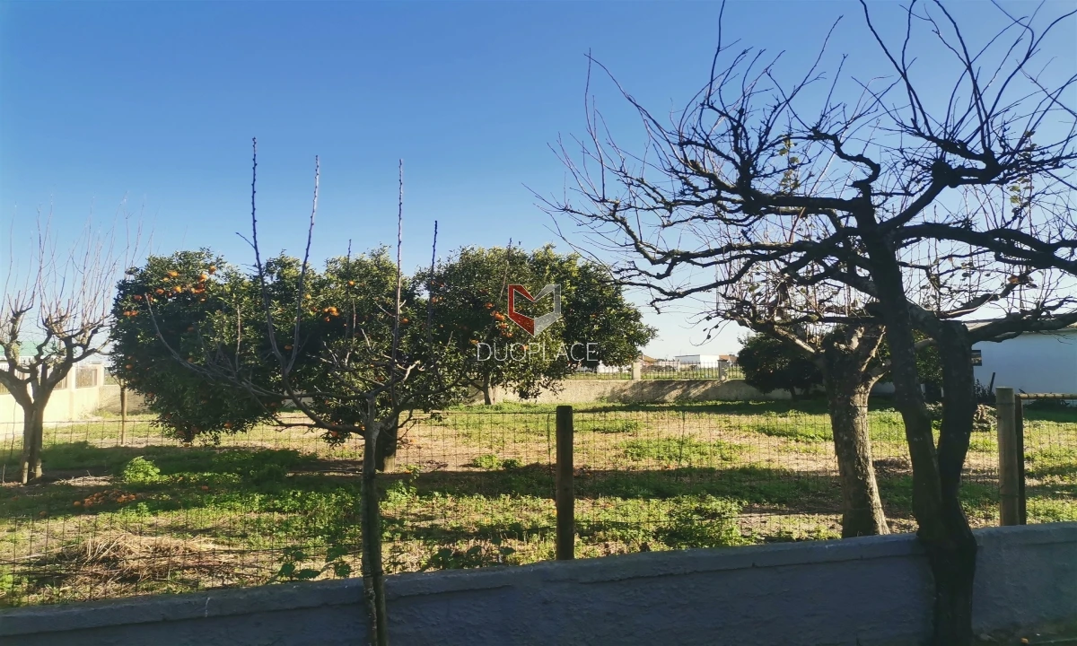 Moradia T6 para Venda em Atalaia e Alto Estanqueiro-Jardia Foto 48