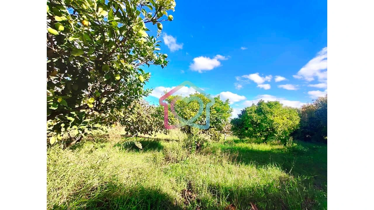 Moradia T2 para Venda em Vila Nova de Cacela Foto 10