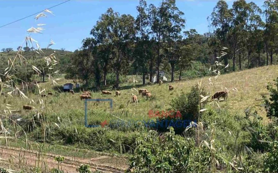 Quinta T10 para Venda em São Salvador e Santa Maria Foto 3