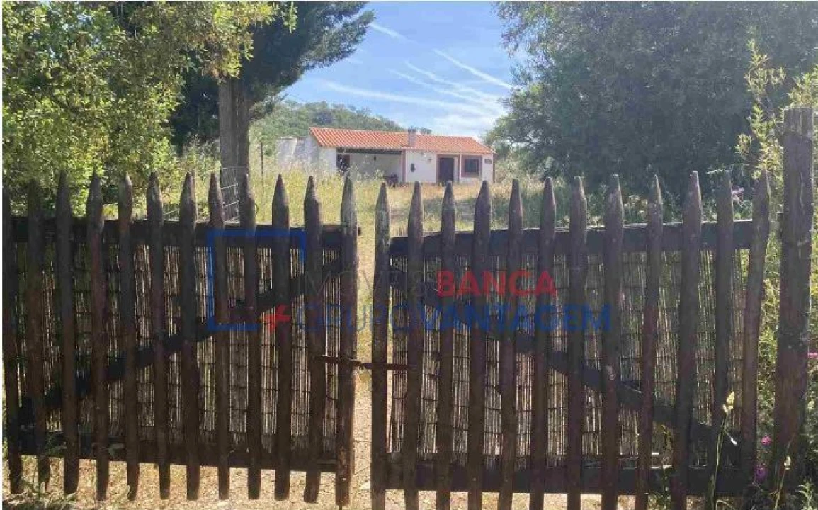 Quinta T10 para Venda em São Salvador e Santa Maria Foto 9