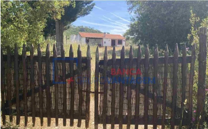 Quinta T10 para Venda em São Salvador e Santa Maria Foto 9