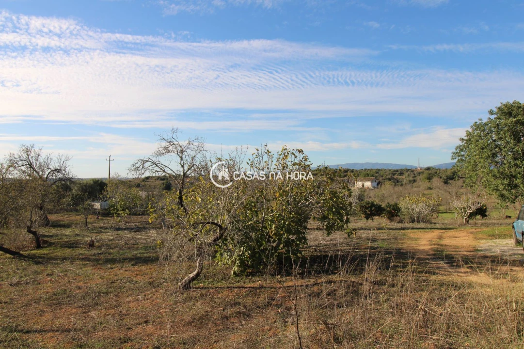 Quinta T1 para Venda em Estômbar e Parchal Foto 12
