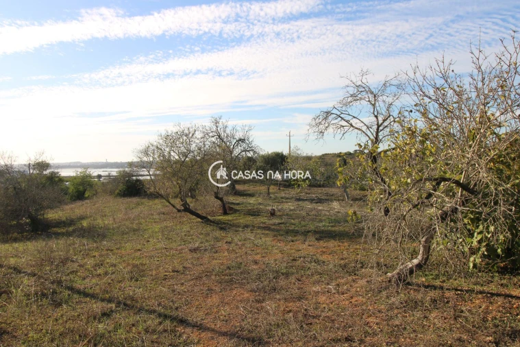 Quinta T1 para Venda em Estômbar e Parchal Foto 18