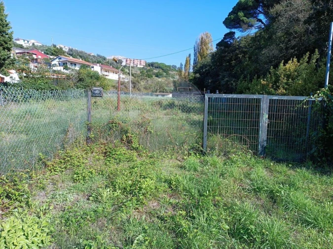 Terreno para Venda em Alcobaça e Vestiaria Foto 4