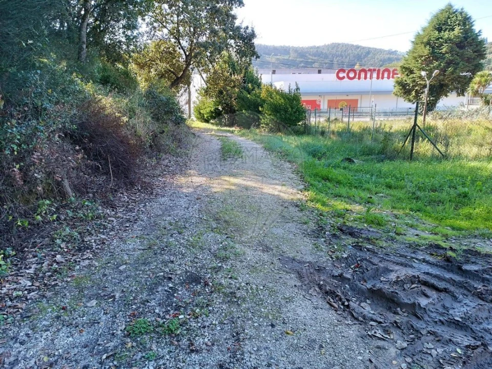 Terreno para Venda em Alcobaça e Vestiaria Foto 6