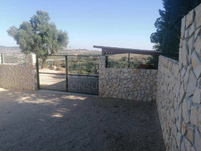 Terreno para Venda em Cardosas