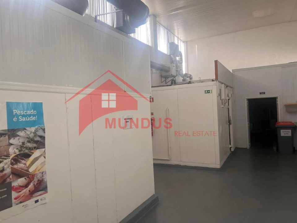 Armazém para Venda em Azeitão (São Lourenço e São Simão) Foto 9