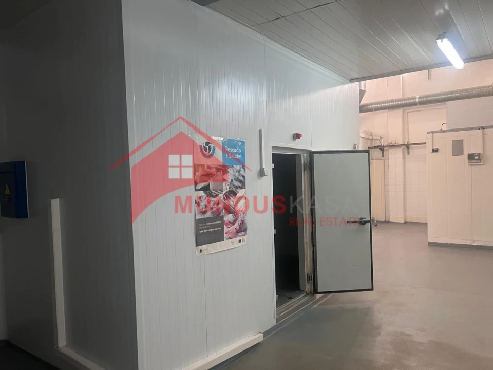 Armazém para Venda em Azeitão (São Lourenço e São Simão) Foto 10