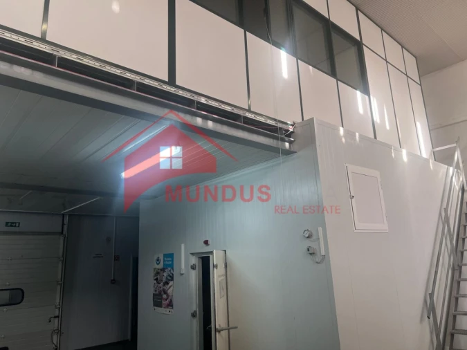 Armazém para Venda em Azeitão (São Lourenço e São Simão) Foto 17