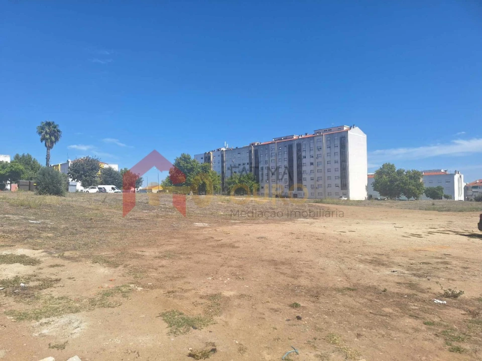 Terreno para Venda em São Bras e São Lourenço Foto 8