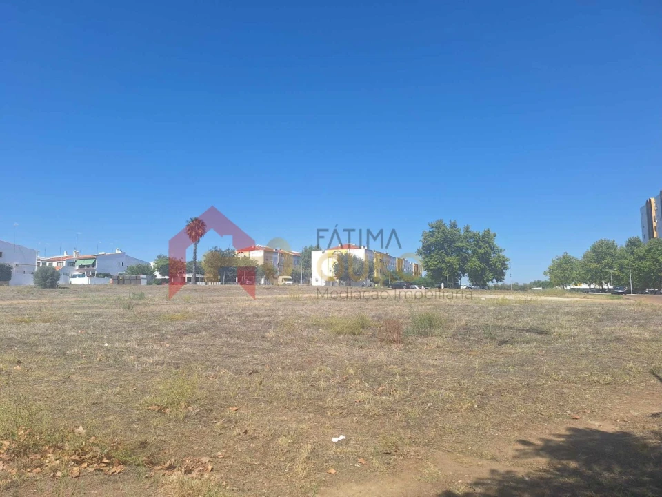 Terreno para Venda em São Bras e São Lourenço Foto 12