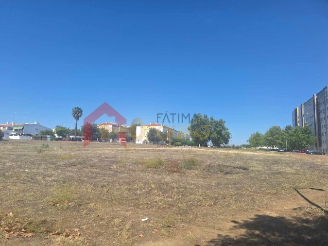Terreno para Venda em São Bras e São Lourenço Foto 7