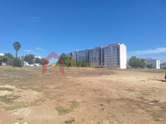 Terreno para Venda em São Bras e São Lourenço Foto 8
