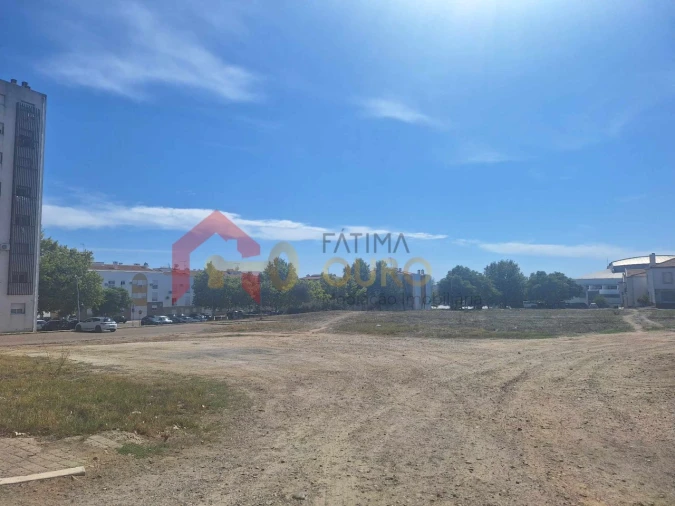 Terreno para Venda em São Bras e São Lourenço Foto 11