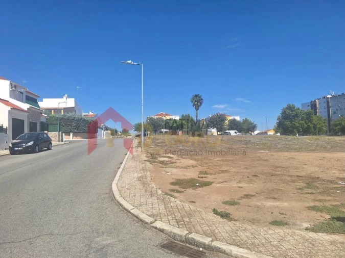 Terreno para Venda em São Bras e São Lourenço Foto 14