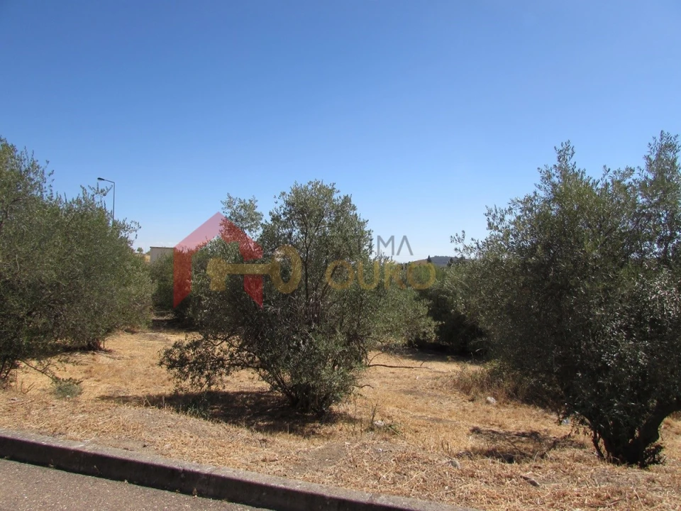Terreno Agricola ou Rústico para Venda em Assunção, Ajuda, Salvador e Santo Ildefonso Foto 2