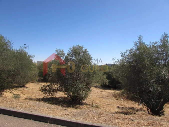 Terreno Agricola ou Rústico para Venda em Assunção, Ajuda, Salvador e Santo Ildefonso Foto 2