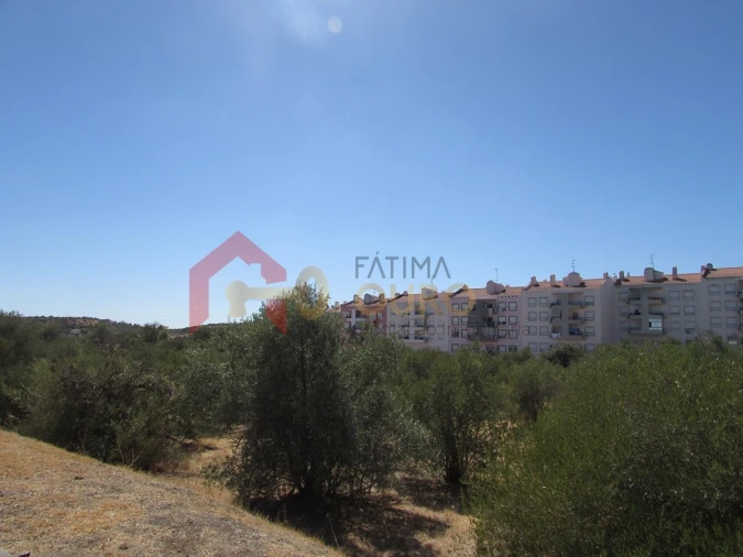 Terreno Agricola ou Rústico para Venda em Assunção, Ajuda, Salvador e Santo Ildefonso Foto 3