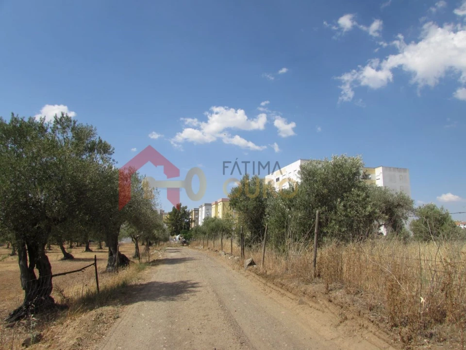 Terreno para Venda em Assunção, Ajuda, Salvador e Santo Ildefonso Foto 6