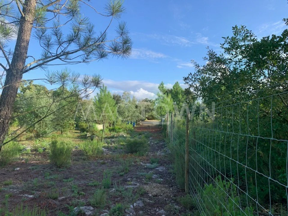 Terreno para Venda em Brogueira, Parceiros de Igreja e Alcorochel Foto 9