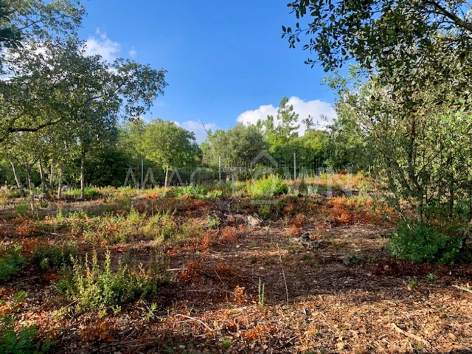 Terreno para Venda em Brogueira, Parceiros de Igreja e Alcorochel Foto 25