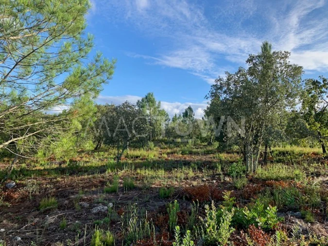 Terreno para Venda em Brogueira, Parceiros de Igreja e Alcorochel Foto 17
