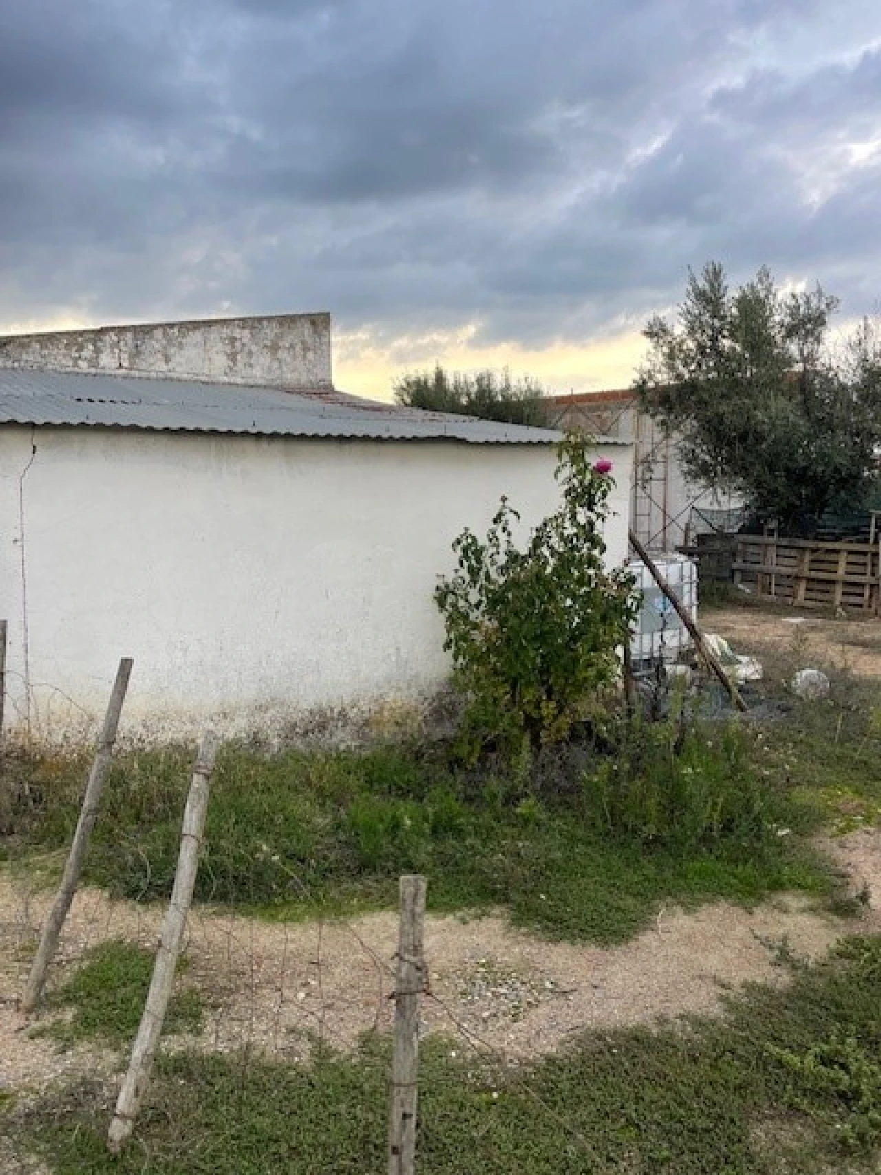 Quinta para Venda em Benavila e Valongo Foto 3