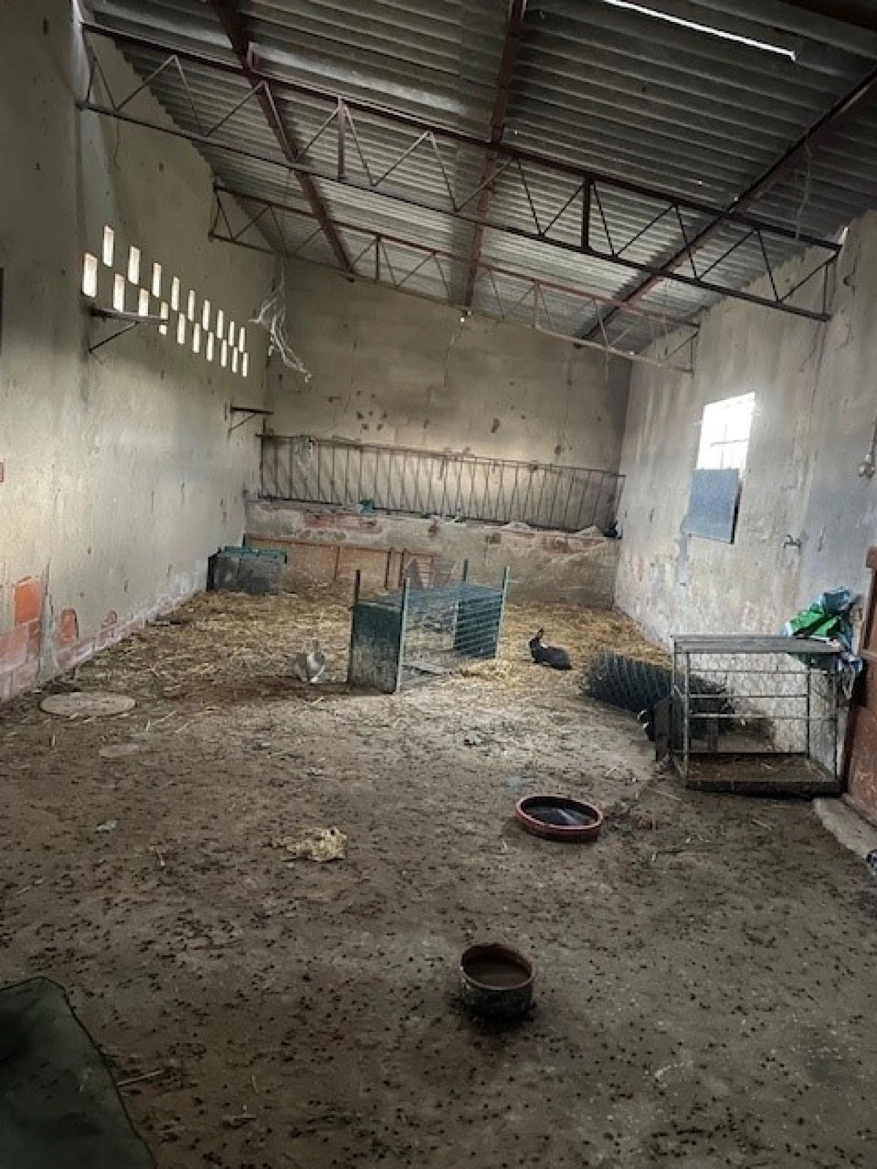 Quinta para Venda em Benavila e Valongo Foto 5