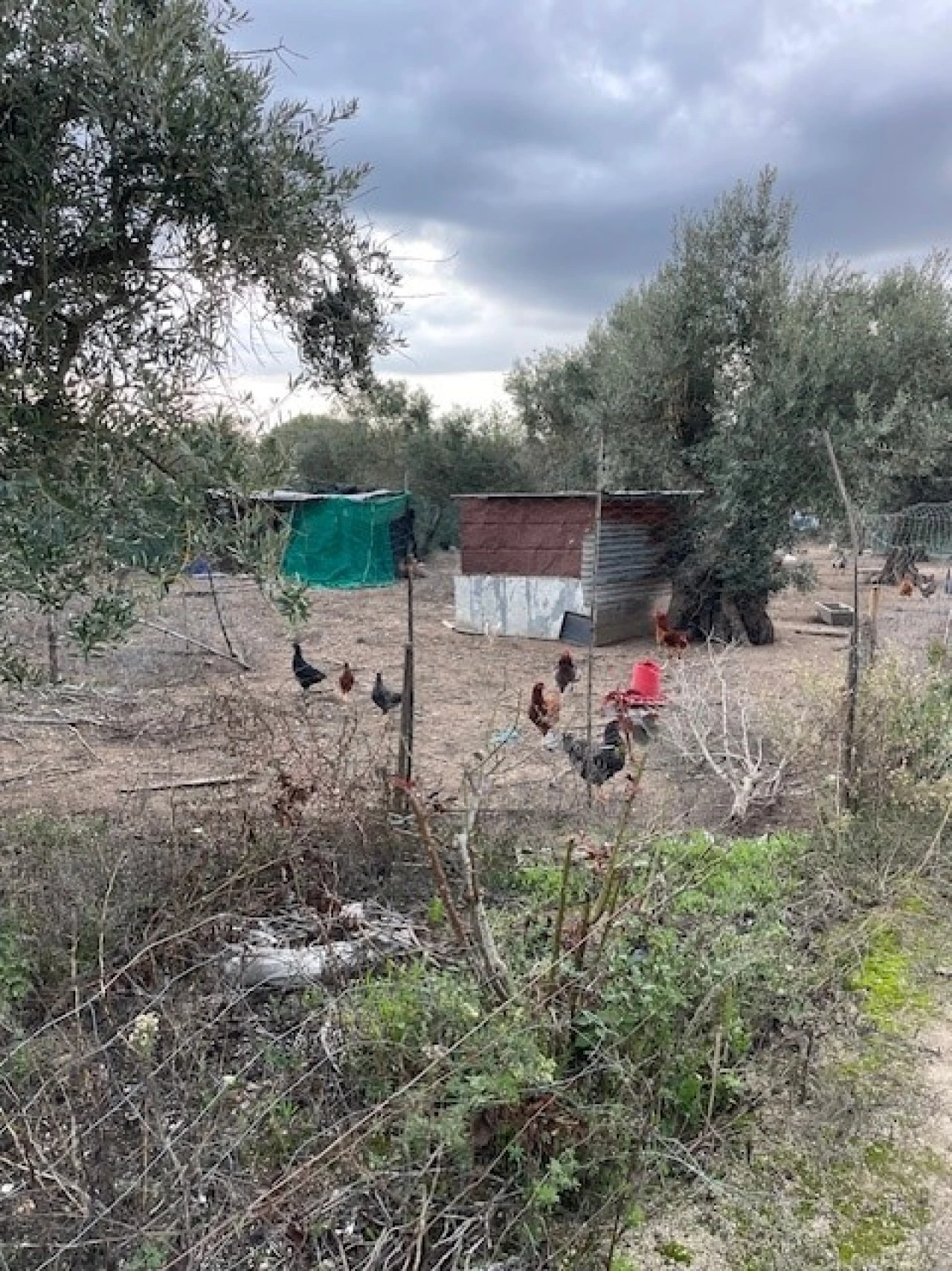 Quinta para Venda em Benavila e Valongo Foto 6