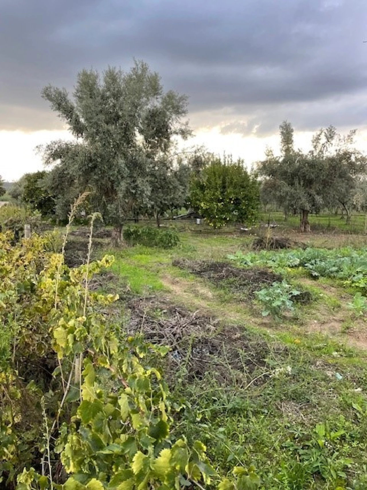 Quinta para Venda em Benavila e Valongo Foto 8