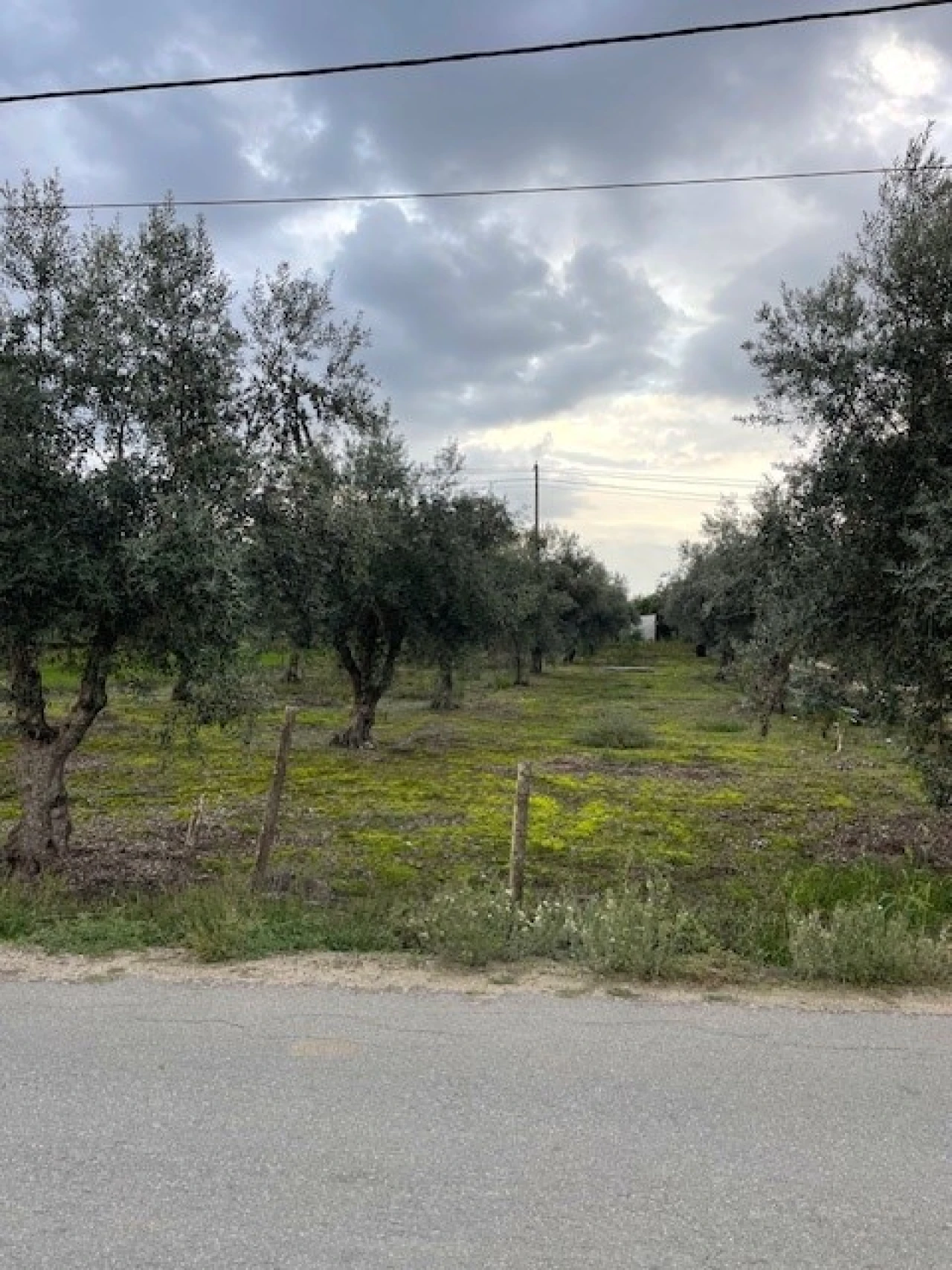 Quinta para Venda em Benavila e Valongo Foto 12