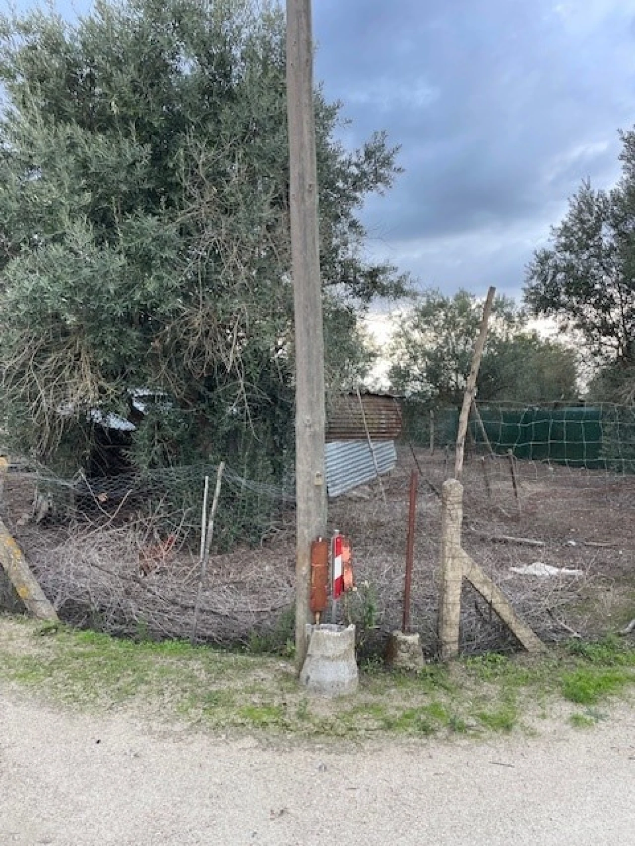 Quinta para Venda em Benavila e Valongo Foto 13