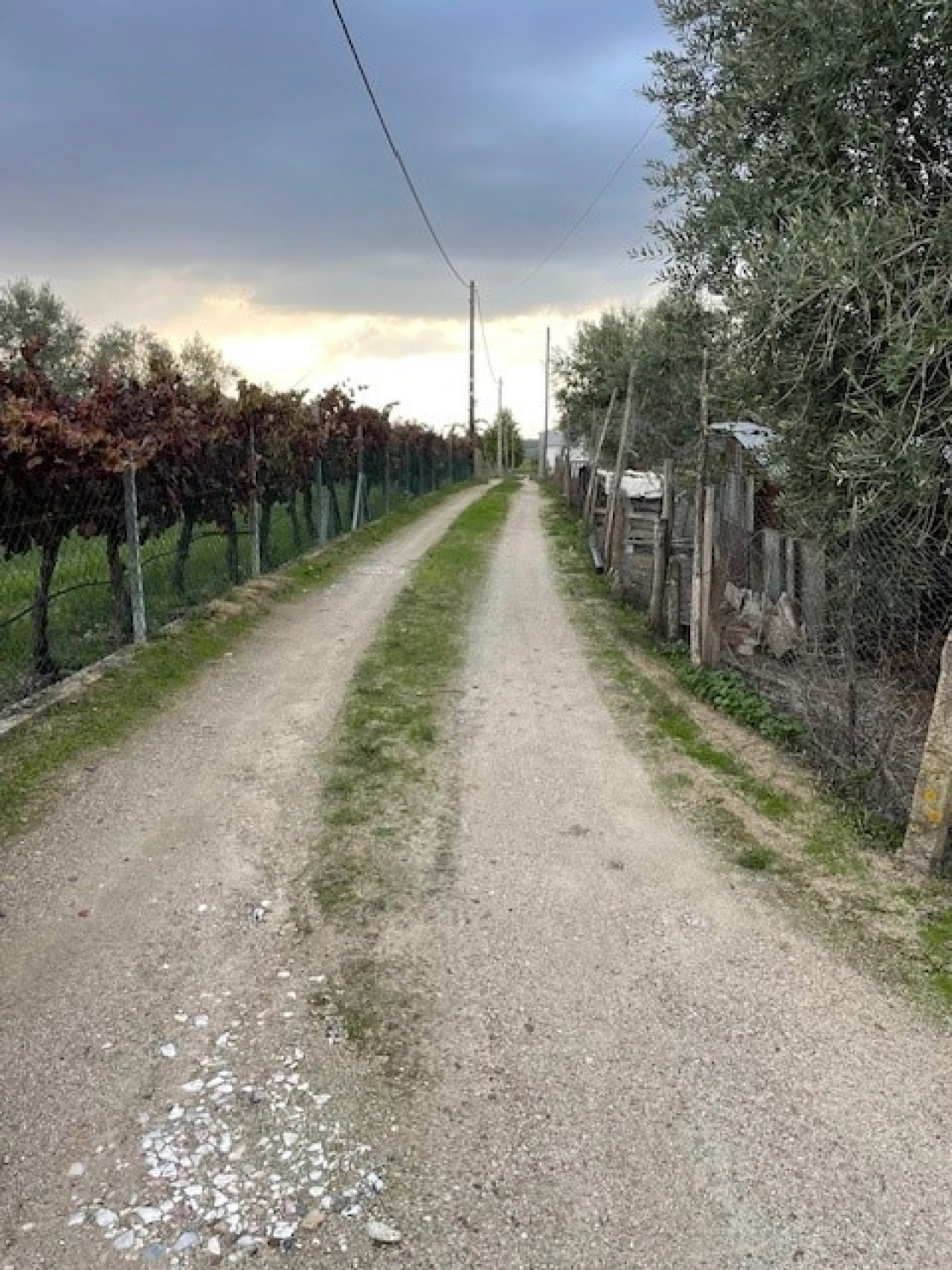 Quinta para Venda em Benavila e Valongo Foto 15