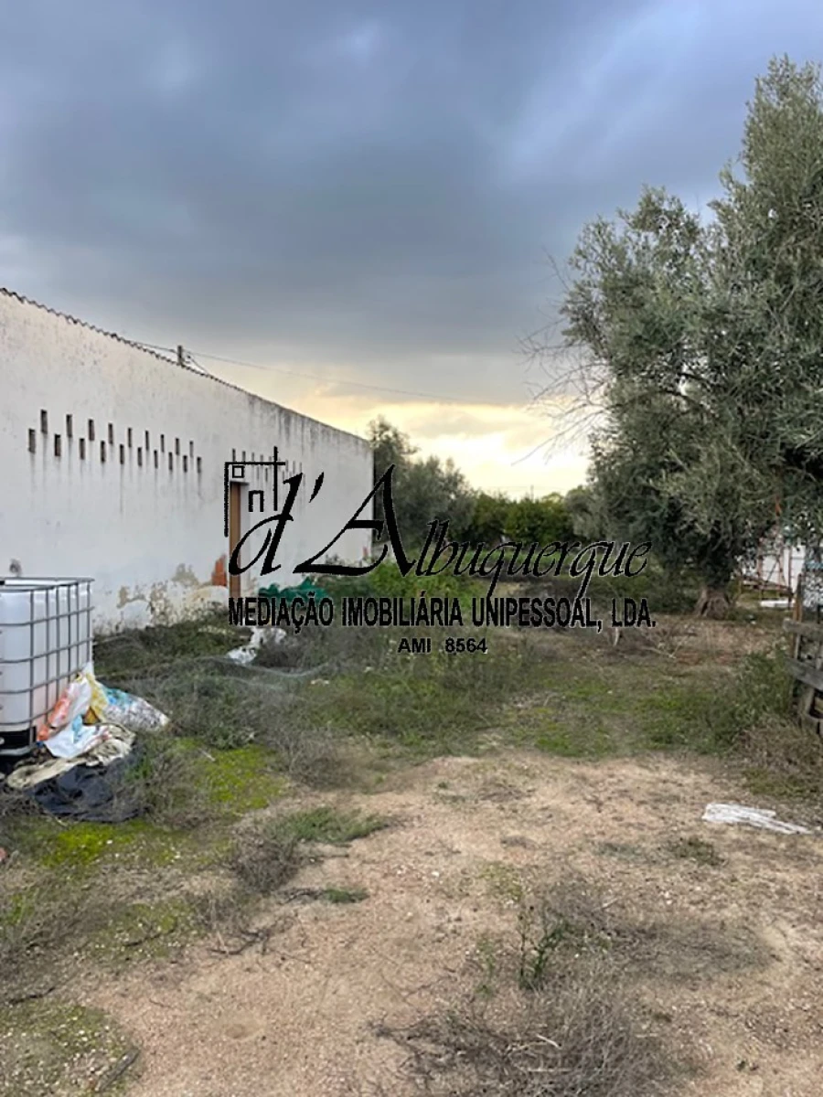 Quinta para Venda em Benavila e Valongo Foto 1