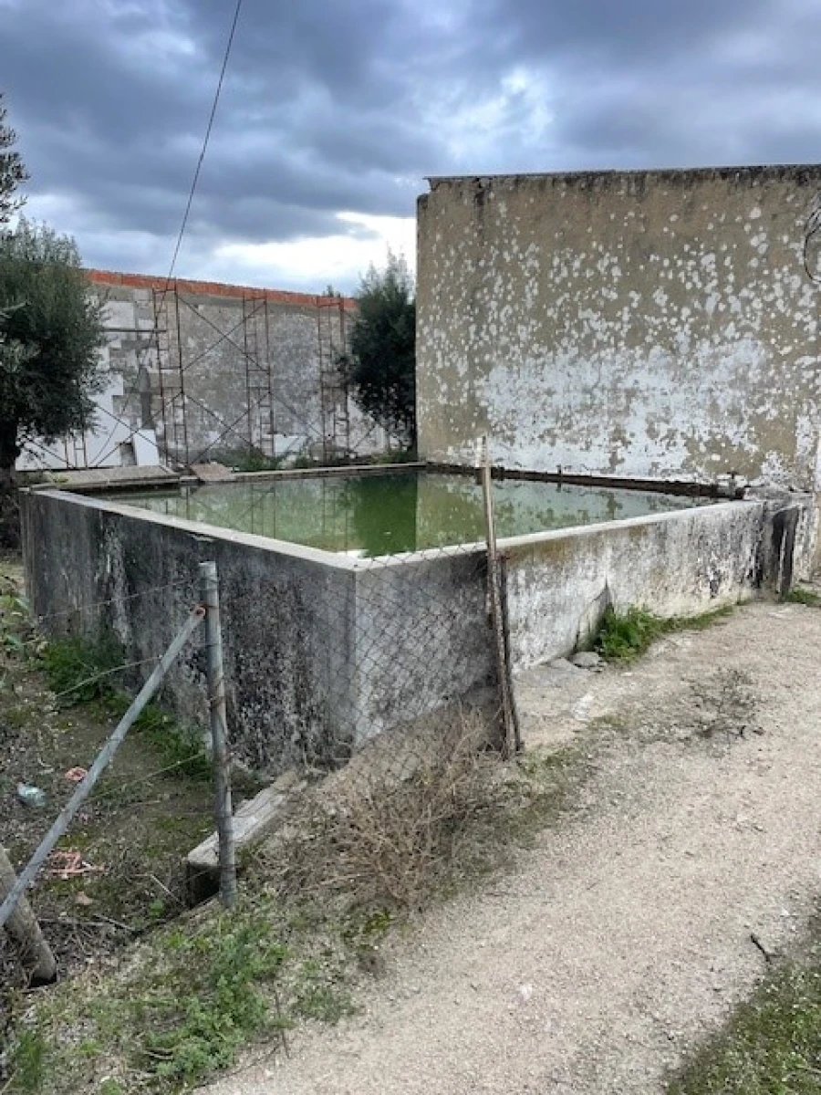 Quinta para Venda em Benavila e Valongo Foto 7