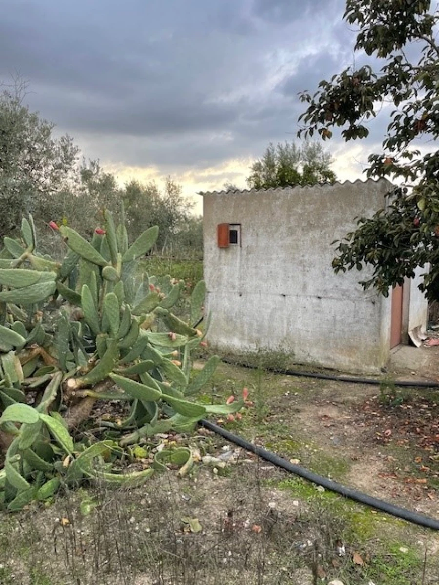 Quinta para Venda em Benavila e Valongo Foto 9