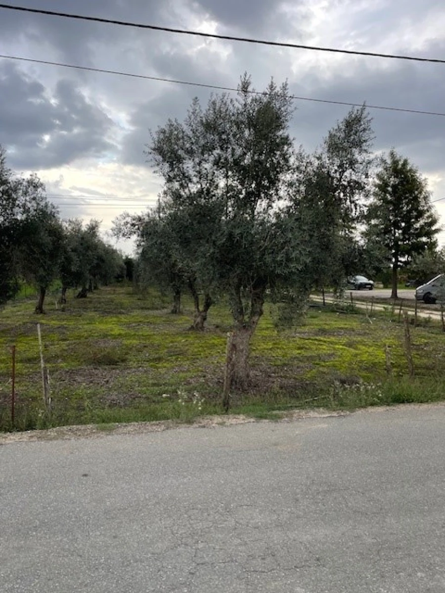 Quinta para Venda em Benavila e Valongo Foto 14