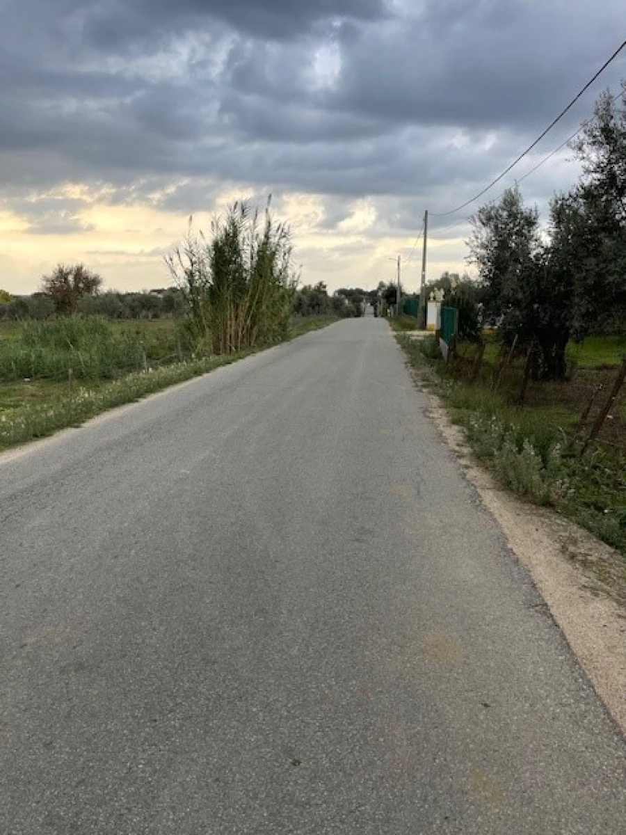 Quinta para Venda em Benavila e Valongo Foto 16