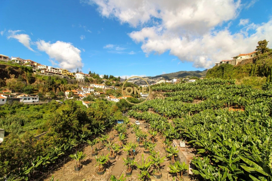 Apartamento T6 para Venda em Funchal (São Pedro) Foto 59