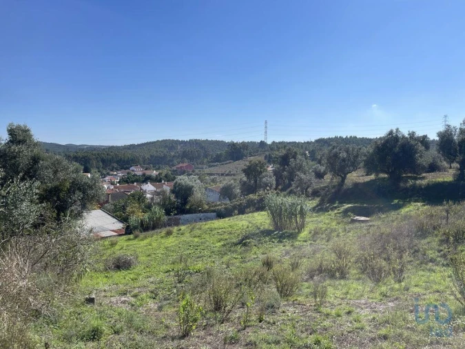 Terreno para Venda em Asseiceira Foto 13