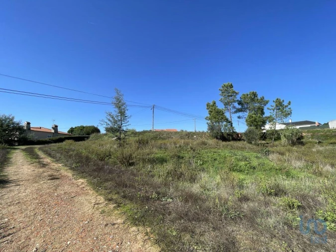 Terreno para Venda em Asseiceira Foto 6