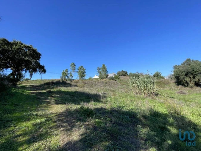Terreno para Venda em Asseiceira Foto 10