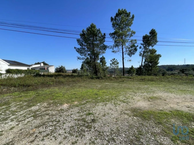 Terreno para Venda em Asseiceira Foto 5