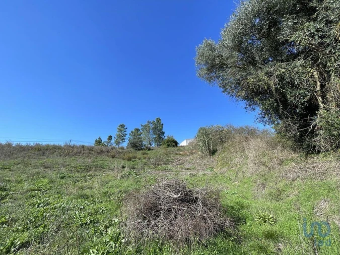 Terreno para Venda em Asseiceira Foto 11