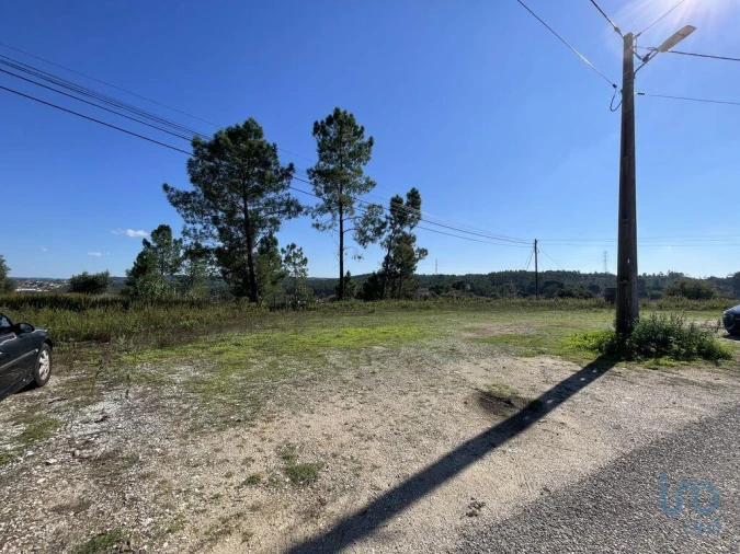 Terreno para Venda em Asseiceira Foto 4