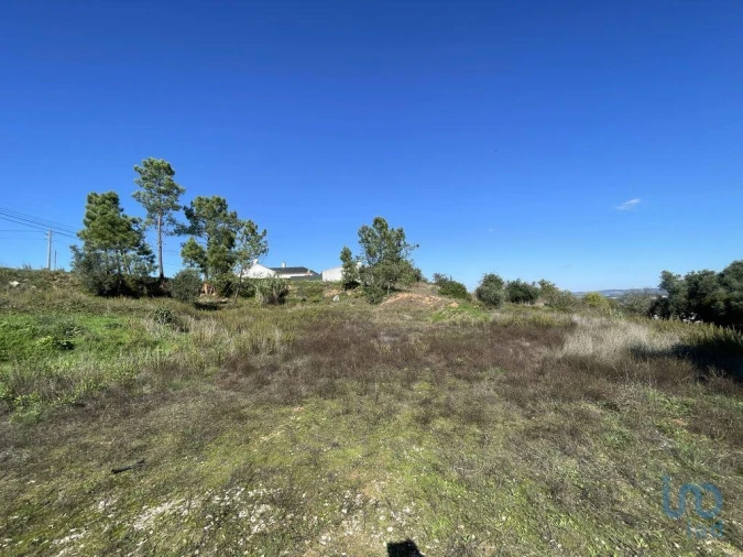 Terreno para Venda em Asseiceira Foto 7