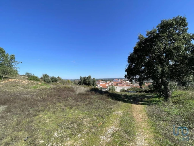 Terreno para Venda em Asseiceira Foto 8