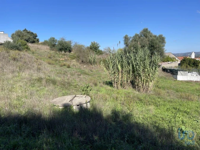 Terreno para Venda em Asseiceira Foto 9